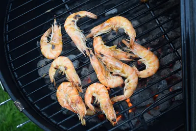 Quick & Easy Recipes