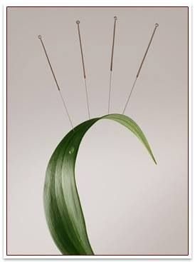 Acupuncture: your partner in achieving longevity